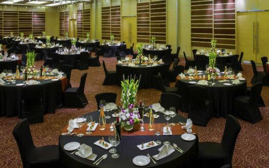 Novotel Hyderabad Airport